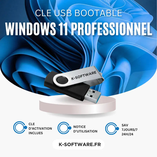 CLE USB bootable Windows 11 Professionnel K Software Informatique