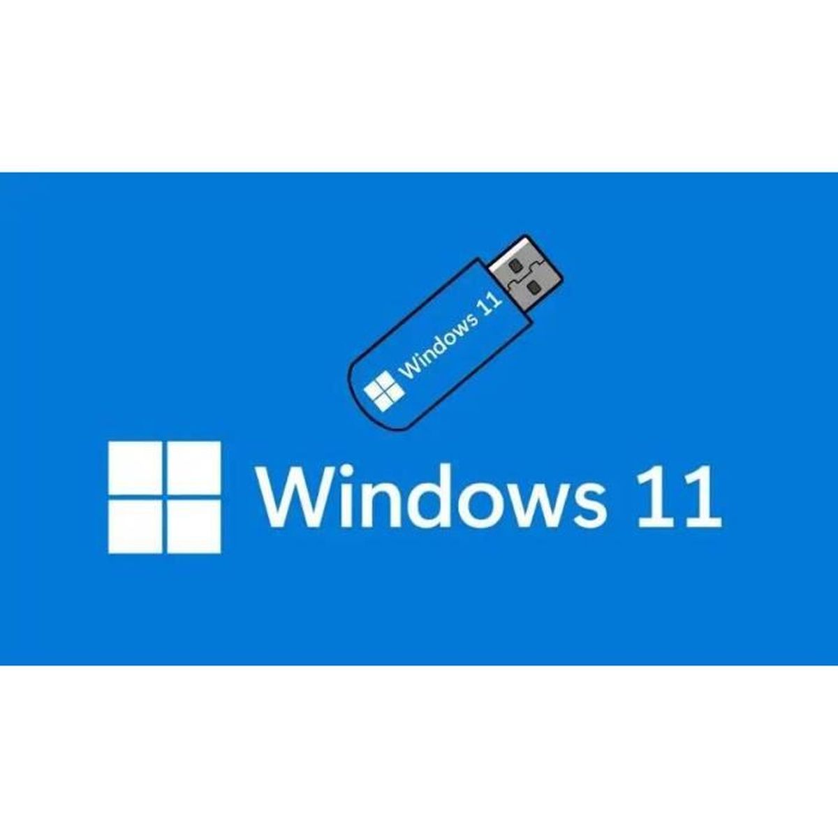 Windows 11 Pro USB Bootable